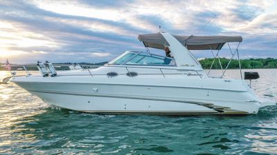 Photo of Sea Ray 310 express boat rental in Newport Beach