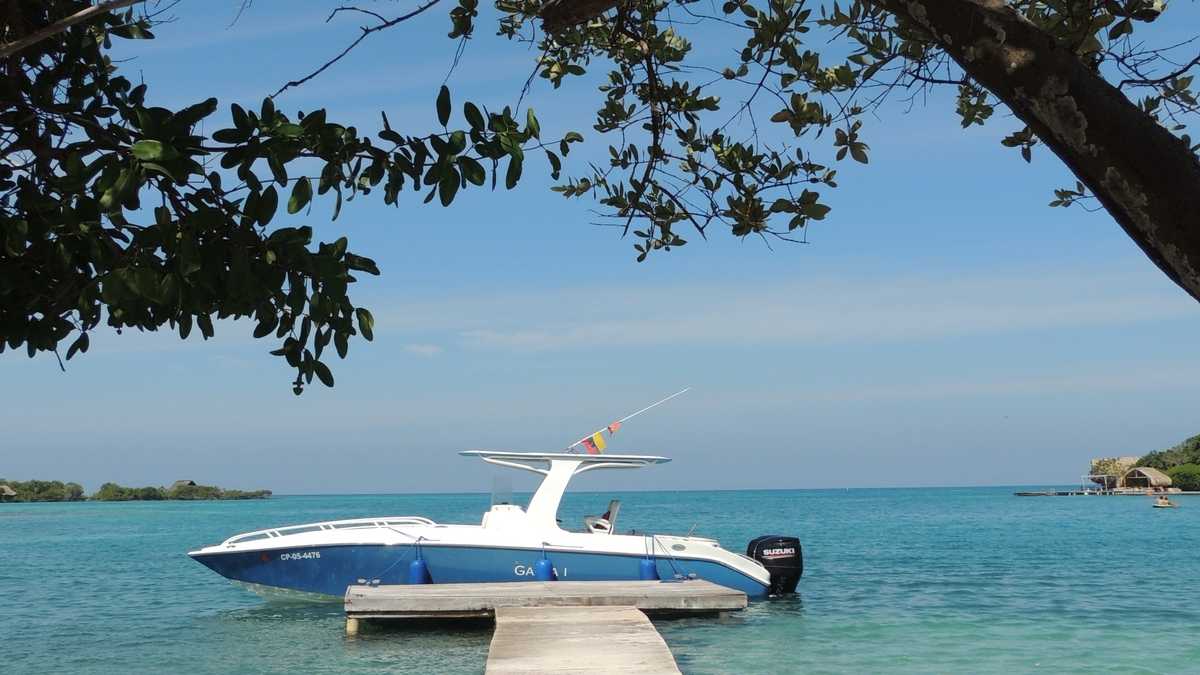 Listing photo M-fHCeZ4Ztcwob9ij0Ido 2/3