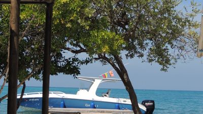 Photo of GALEA 1 