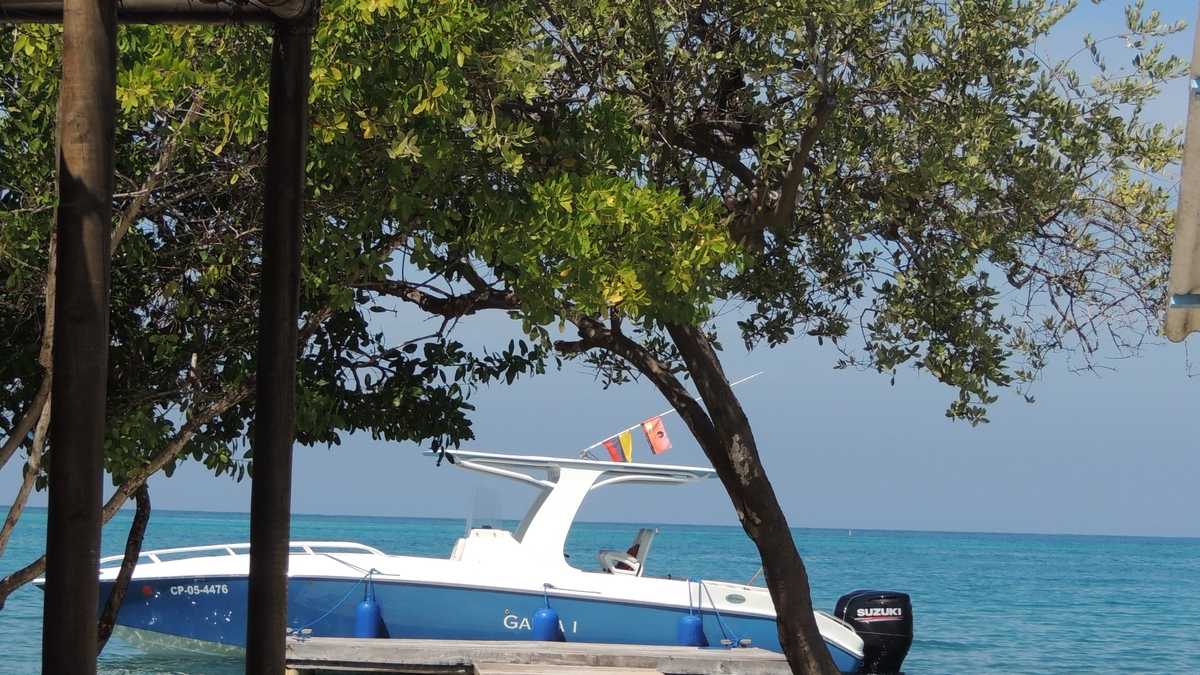 Listing photo M-fHCeZ4Ztcwob9ij0Ido 1/3