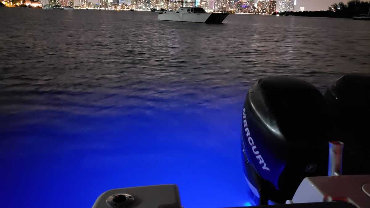Listing photo tCelcBmQ_fJFr7f8i5kpv 22/22