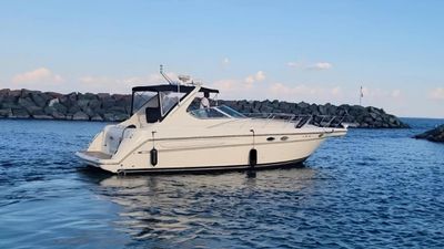 Photo of 40 foot Maxum Luxury Yacht