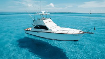 Photo of 🎣 Fishing trip on this beautiful 46 ft boat 🛥️☀️