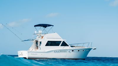 Photo of 🎣 Come fishing with us on this beautiful 40 ft boat 🛥️☀️